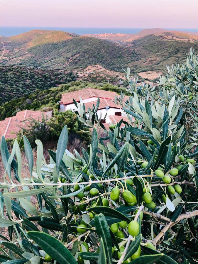 Trasicca Bon Espoir Hotel Brunella Eksteriør billede